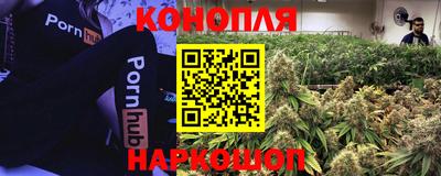 дживик Вязьма