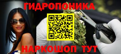 дживик Вязьма
