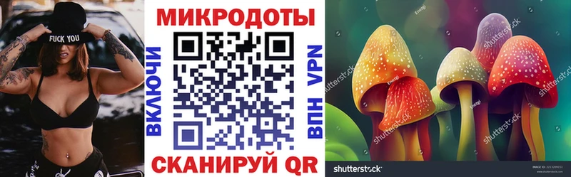 Псилоцибиновые грибы Psilocybe  blacksprut как войти  Курганинск 