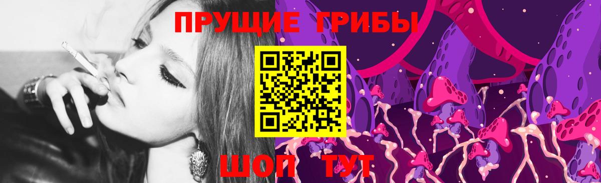 Курганинск  дарнет шоп  Вход с VPN  Псилоцибиновые грибы Psilocybe 